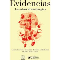 Evidencias