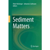 Sediment Matters