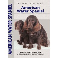 American Water Spaniel
