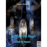 Le Prince Des Mages