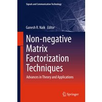 Non-negative Matrix Factorization Techniques