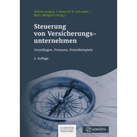 Steuerung von Versicherungsunternehmen