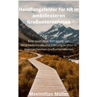 Handlungsfelder für HR in ambidexteren Großunternehmen