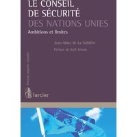 Le Conseil de sécurité des Nations Unies