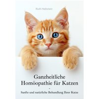 Ganzheitliche Homöopathie für Katzen