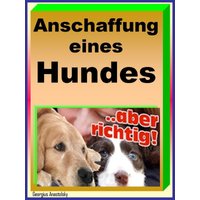 Anschaffung eines Hundes