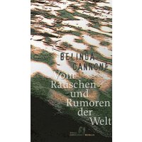 Vom Rauschen und Rumoren der Welt