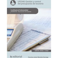 Gestión y control del presupuesto de tesorería. ADGN0108
