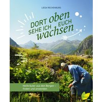 Dort oben sehe ich euch wachsen