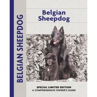 Belgian Sheepdog