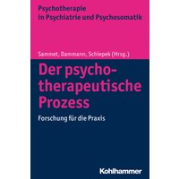 Der psychotherapeutische Prozess