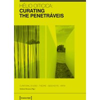 Hélio Oiticica: Curating the Penetráveis