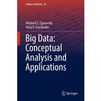 Big Data: Conceptual Analysis and Applications