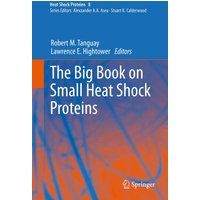 The Big Book on Small Heat Shock Proteins