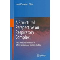 A Structural Perspective on Respiratory Complex I