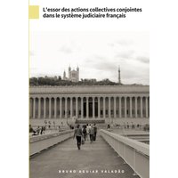 L'essor des actions collectives conjointes dans le système judiciaire français
