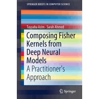 Composing Fisher Kernels from Deep Neural Models