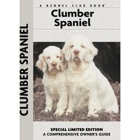 Clumber Spaniel
