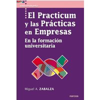 El practicum y las prácticas en empresas
