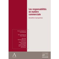 Les responsabilités en matière commerciale