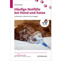 Häufige Notfälle bei Hund und Katze