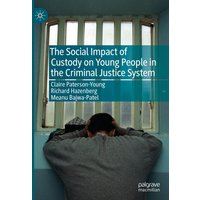 The Social Impact of Custody on Young People in the Criminal Justice System