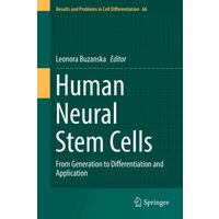 Human Neural Stem Cells