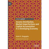 Income Distribution, Market Imperfections and Capital Accumulation in a Developing Economy