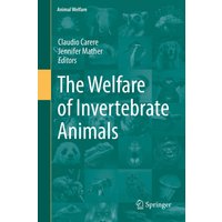 The Welfare of Invertebrate Animals