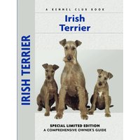 Irish Terrier