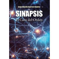 Sinapsis: El Caos del Orden