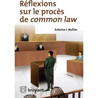 Réflexions sur le procès de common law