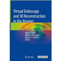 Virtual Endoscopy and 3D Reconstruction in the Airways