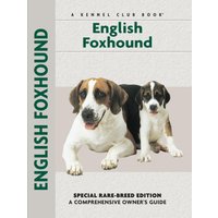 English Foxhound