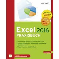 Excel 2016 Praxisbuch