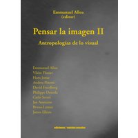 Pensar la imagen II