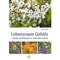 Lebensraum Gehölz