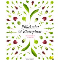 Pflücksalat & Blattspinat