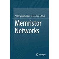 Memristor Networks