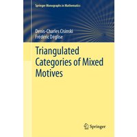 Triangulated Categories of Mixed Motives