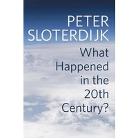 What Happened in the Twentieth Century?