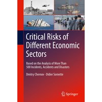 Critical Risks of Different Economic Sectors