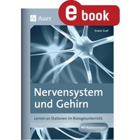 Nervensystem und Gehirn
