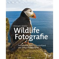 Wildlife-Fotografie