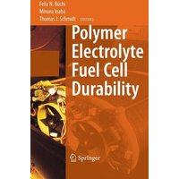 Polymer Electrolyte Fuel Cell Durability