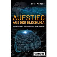 Aufstieg aus der Blechliga