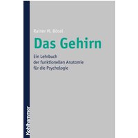 Das Gehirn