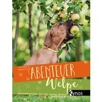 Abenteuer Welpe