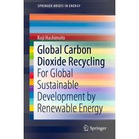 Global Carbon Dioxide Recycling
