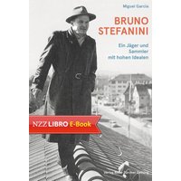 Bruno Stefanini
